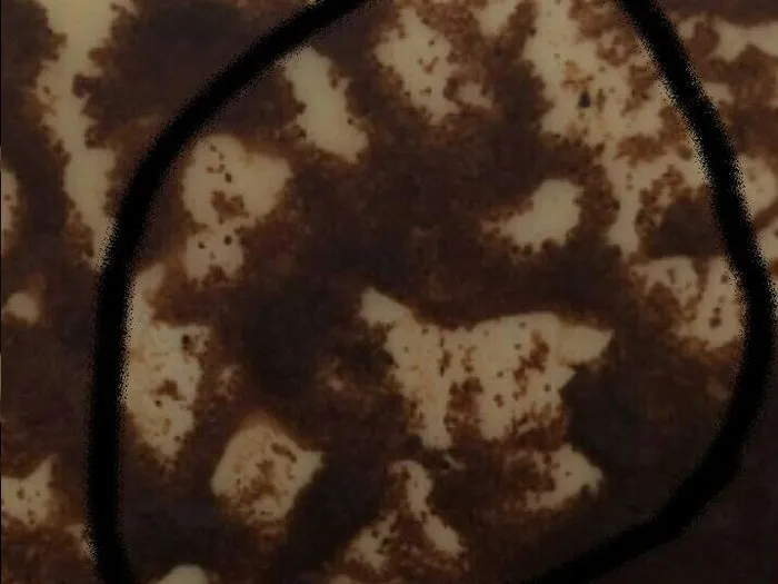 Гадание на кофе в Якутске